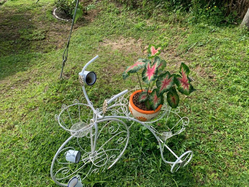 Cabana En Boquia 萨兰托 外观 照片