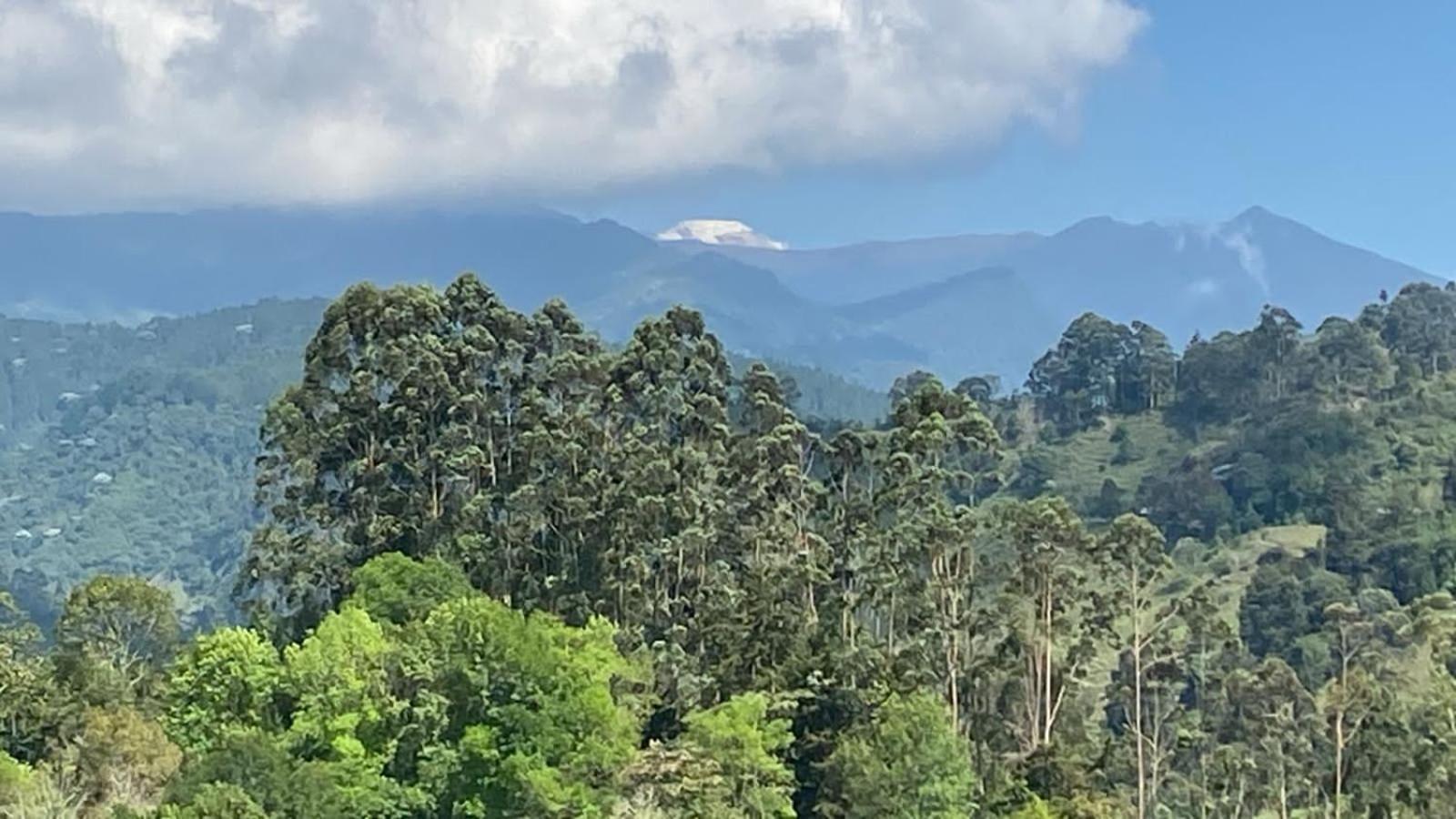 Cabana En Boquia 萨兰托 外观 照片